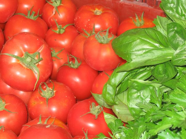 Tomates Basilic
